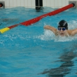 Dolnośląska Liga Pływacka klas V, 2006-11-25