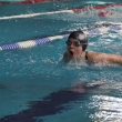 VIII Otwarte Zawody w Pływaniu o Puchar Prezydenta Miasta Jeleniej Góry, 2008-04-26